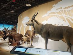 -陕西自然博物馆