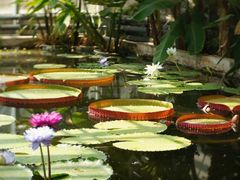 -国家植物园南园