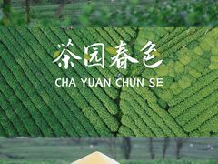 -中国茶叶博物馆(双峰馆区)