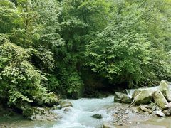 -西岭雪山大飞水景区