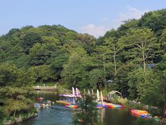 -广州市帽峰山景区