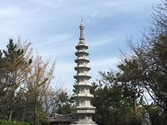 -海东龙宫寺