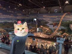 -自贡恐龙博物馆