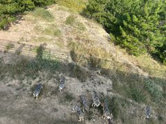 -鄂尔多斯野生动物园