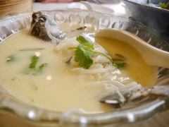 鲫鱼汤-怡园饭店-餐厅(四望亭店)