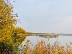 -野鸭湖国家湿地公园