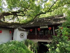 -上海醉白池公园