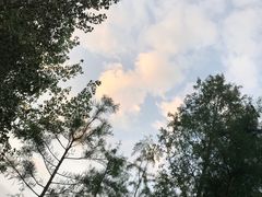 -滨湖塘西河公园