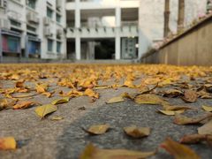 -顺德职业技术大学