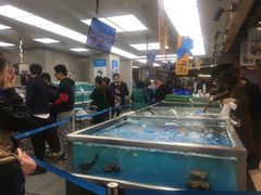 -盒马鲜生(大成店)