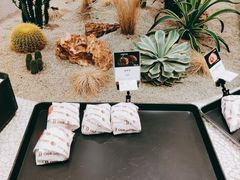 -OUR Bakery(SKP-S店)