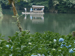 -龙苍沟森林公园