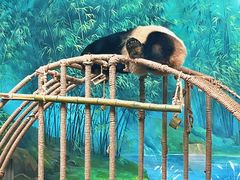 -杭州动物园