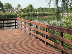 -新江湾城公园