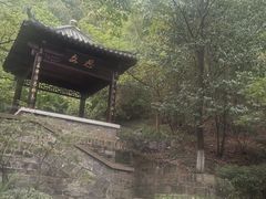 -北极阁公园