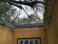 -普陀山慧济禅寺