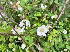 -极客修手机维修·电脑维修·家电维修清洗(五一广场店)