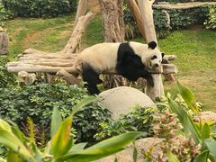 -香港海洋公园