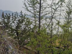 -望湖烤鱼