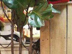 -小时光咖啡馆(北锣鼓巷店)