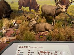 -陕西自然博物馆