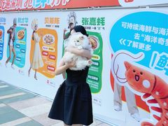 -陈鹏鹏潮汕菜(欢乐海岸 海边景观店)