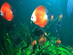 -成都浩海立方海洋公园