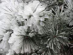 -庐山风景区花径公园