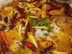 -新太二·鲜料川菜(花都融创茂店)