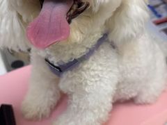 -美联众合24小时·皮肤科·外科·全科诊疗中心(华苑分院)