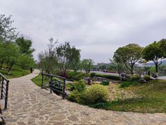 -羊山湖公园