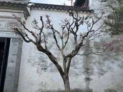 -拙政园