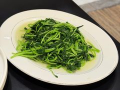 清炒鸡毛菜-勺园中餐厅