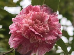 -宝岩生态观光园