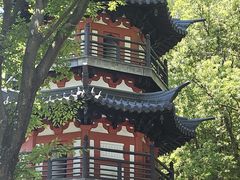 -上海佘山国家森林公园西佘山园