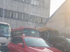 -上海植物园·停车场