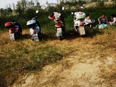 -桤木河湿地公园