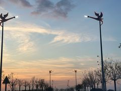 -盐城丹顶鹤湿地生态旅游区