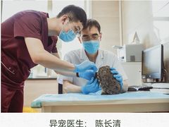 -北京观赏动物医院·24小时大型综合·猫专科·异宠专科