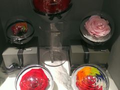 -ROSEONLY诺誓(青岛万象城店)