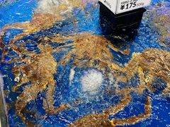 -盒马X会员店(上海森兰商都店)