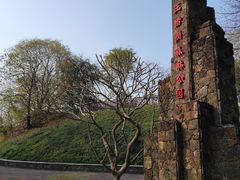 -王借岗森林公园