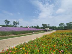 -同里国家湿地公园