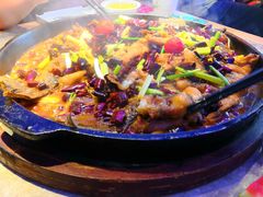 -老板恋上鱼(恒隆广场店)