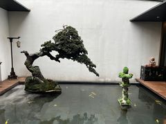-觀芷隐轩