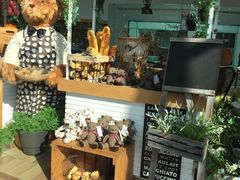 泰迪熊博物馆-济州岛泰迪熊博物馆