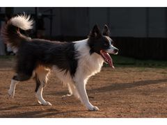 -龙美术馆(西岸馆)