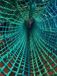 -奇幻丛林(佛罗伦萨小镇店)