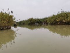 -泗洪洪泽湖湿地景区