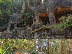 -森波拉奇妙世界